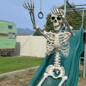 Meet your Posher, Quinn